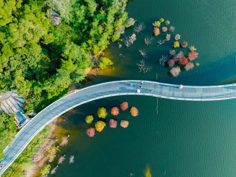 葉綠素a檢測(cè)儀好用嗎