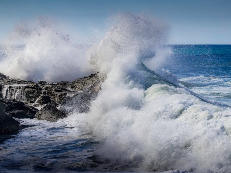 總磷檢測儀有哪些類型