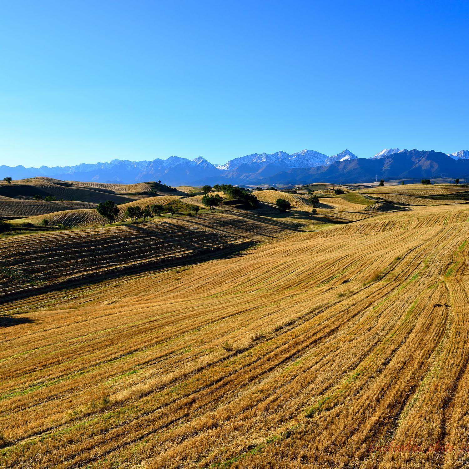 邯鄲市臨漳縣農(nóng)業(yè)農(nóng)村局購進(jìn)霍爾德農(nóng)殘檢測(cè)儀