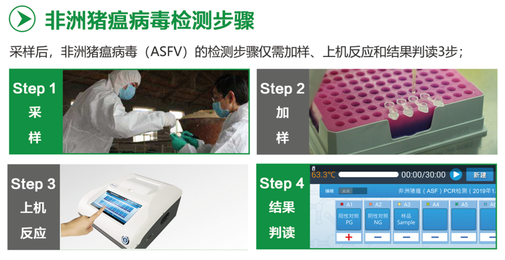 非洲豬瘟快速檢測儀 非洲豬瘟快速檢測儀