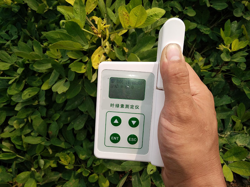 HED-YA植物葉綠素儀,為植物的健康狀況做檢查 HED-YA植物葉綠素儀,為植物的健康狀況做檢查