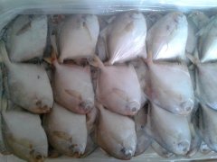 水產品快速檢測系統可檢測哪些？